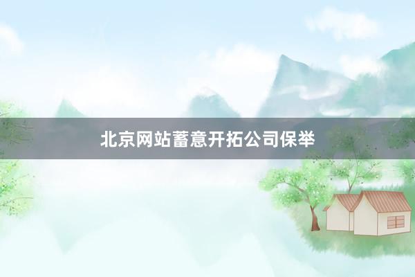 北京网站蓄意开拓公司保举
