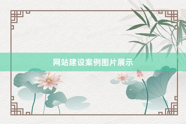 网站建设案例图片展示