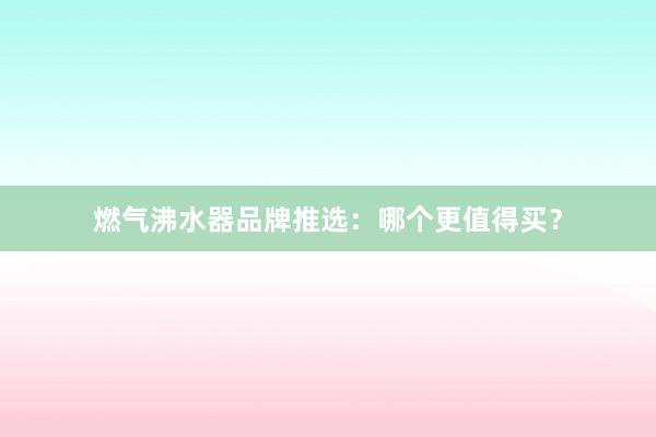 燃气沸水器品牌推选：哪个更值得买？