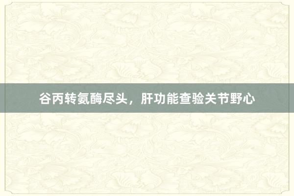 谷丙转氨酶尽头，肝功能查验关节野心